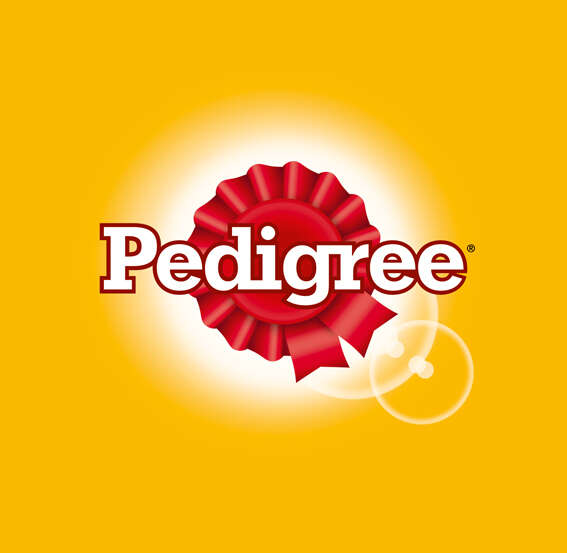 Pedigree Hunde-Nassfutter Junior mit Geflügel & Reis in Pastete